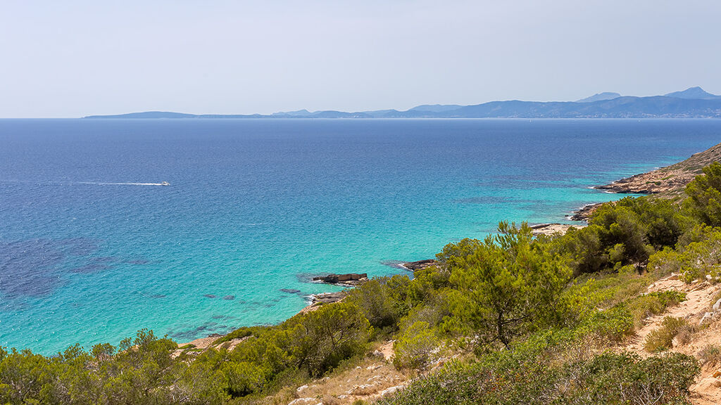 Grundstück in Puig de Ros - Baugrund mit unverbaubarem Meer- und Panoramablick auf die Bucht von Palma