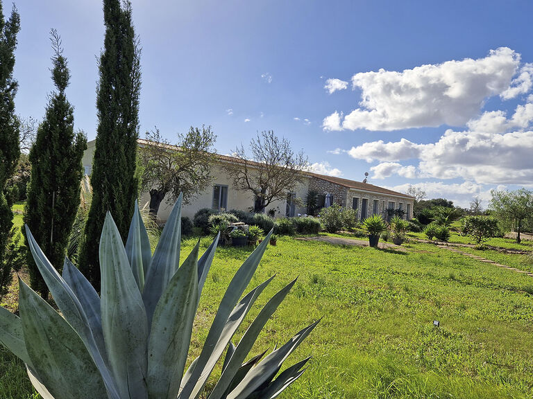 Finca nahe Campos - Impressionen aus dem Garten mit Blick auf das Haus