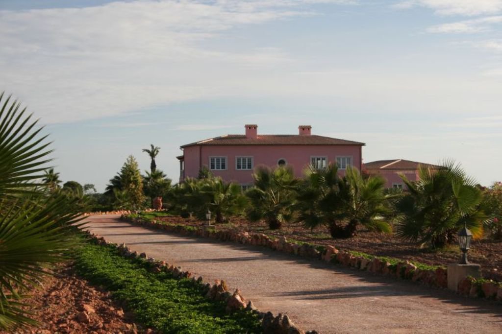 Finca in Santa Margalida - Mit Palmen bepflanzte Zufahrt