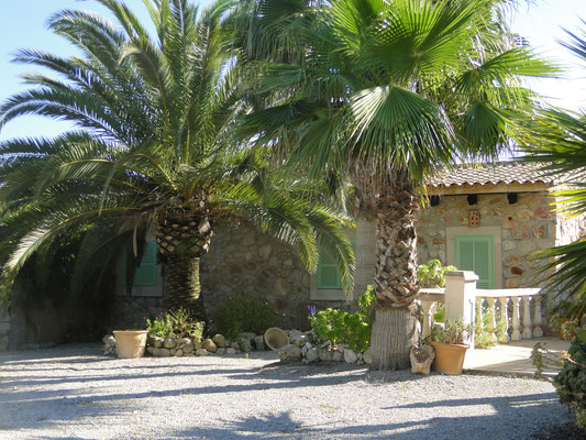 Finca nahe Montuiri - Natursteinfassade und Grundstück mit altem Baumbestand